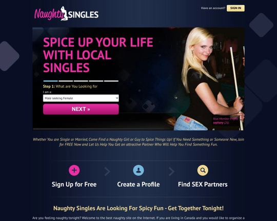 Naughty Singles Logo